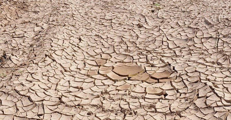 Terre sèche et craquelée